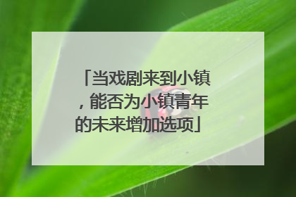 当戏剧来到小镇，能否为小镇青年的未来增加选项