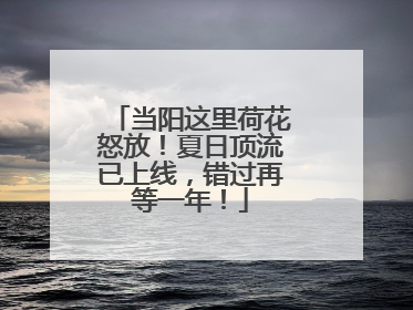 当阳这里荷花怒放！夏日顶流已上线，错过再等一年！