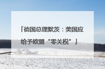德国总理默茨：美国应给予欧盟“零关税”
