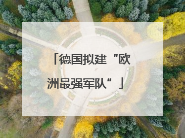 德国拟建“欧洲最强军队”