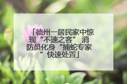 德州一居民家中惊现“不速之客” 消防员化身“捕蛇专家”快速处置
