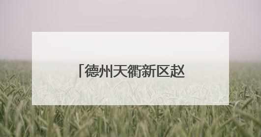 德州天衢新区赵虎镇：抢收抢种同推进，筑牢“三夏”生产防线