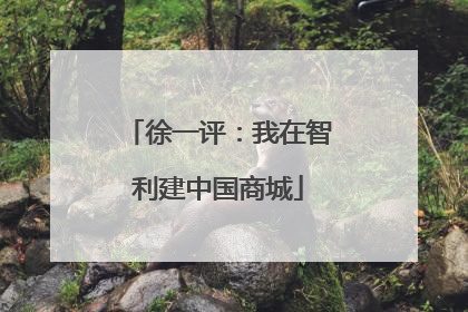 徐一评：我在智利建中国商城