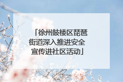 徐州鼓楼区琵琶街道深入推进安全宣传进社区活动