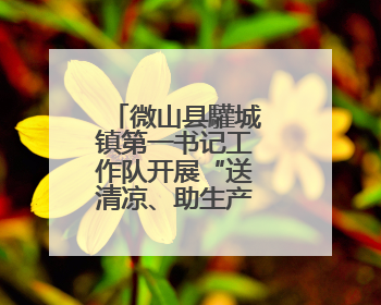 微山县驩城镇第一书记工作队开展“送清凉、助生产”慰问活动