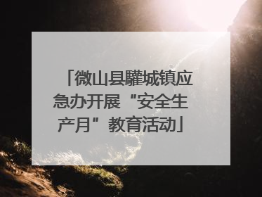微山县驩城镇应急办开展“安全生产月”教育活动