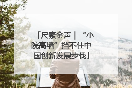 尺素金声｜“小院高墙”挡不住中国创新发展步伐