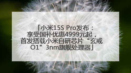 小米15S Pro发布：享受国补优惠4999元起，首发搭载小米自研芯片“玄戒O1”3nm旗舰处理器
