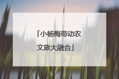 小杨梅带动农文旅大融合