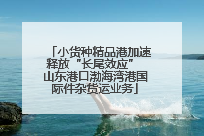 小货种精品港加速释放“长尾效应” 山东港口渤海湾港国际件杂货运业务