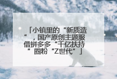 小镇里的“新质造”，国产原创主题服借拼多多“千亿扶持”圈粉“Z世代”