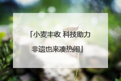 小麦丰收 科技助力 非遗也来凑热闹