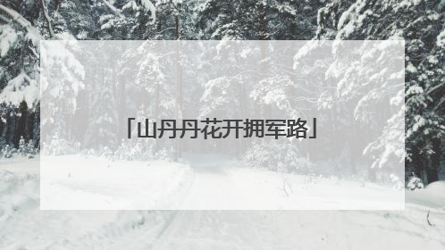 山丹丹花开拥军路