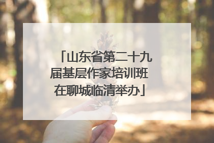 山东省第二十九届基层作家培训班在聊城临清举办
