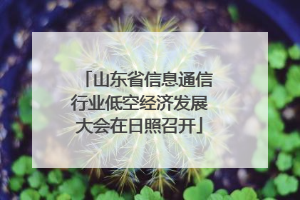 山东省信息通信行业低空经济发展大会在日照召开