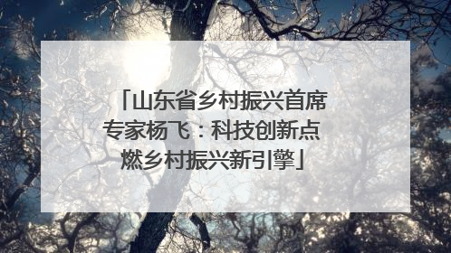 山东省乡村振兴首席专家杨飞：科技创新点燃乡村振兴新引擎