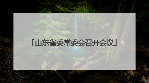 山东省委常委会召开会议
