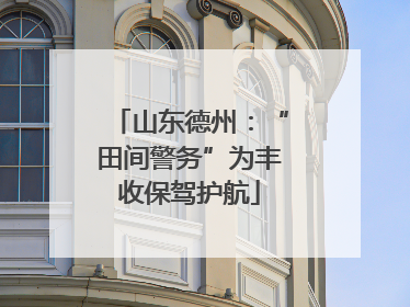 山东德州：“田间警务”为丰收保驾护航