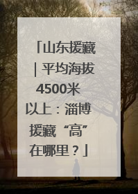 山东援藏｜平均海拔4500米以上：淄博援藏“高”在哪里？