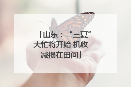 山东：“三夏”大忙将开始 机收减损在田间