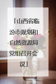 山西省临汾市规划和自然资源局党组召开会议