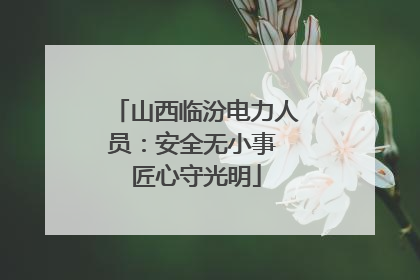 山西临汾电力人员：安全无小事 匠心守光明
