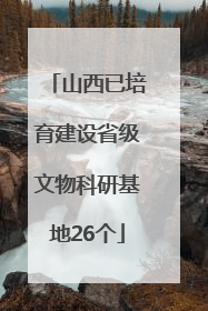 山西已培育建设省级文物科研基地26个