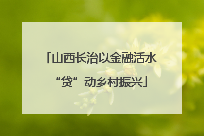 山西长治以金融活水“贷”动乡村振兴