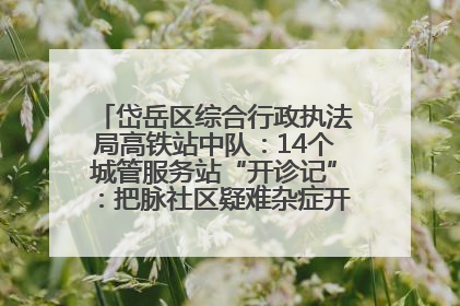 岱岳区综合行政执法局高铁站中队：14个城管服务站“开诊记”：把脉社区疑难杂症开出治理良方