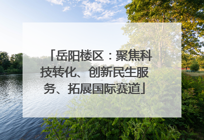 岳阳楼区：聚焦科技转化、创新民生服务、拓展国际赛道