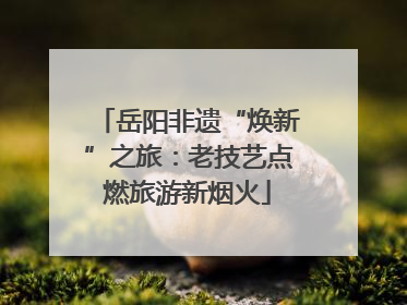 岳阳非遗“焕新”之旅：老技艺点燃旅游新烟火