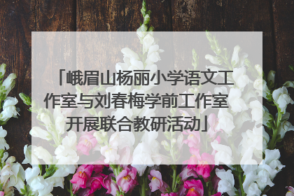 峨眉山杨丽小学语文工作室与刘春梅学前工作室开展联合教研活动