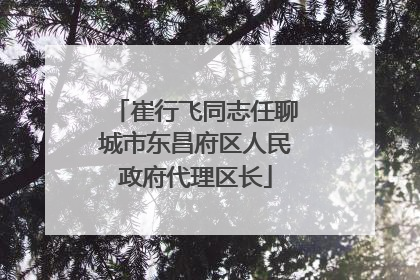崔行飞同志任聊城市东昌府区人民政府代理区长