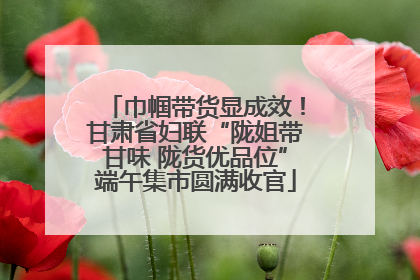 巾帼带货显成效！甘肃省妇联“陇姐带甘味 陇货优品位”端午集市圆满收官