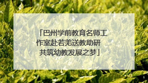 巴州学前教育名师工作室赴若羌送教助研 共筑幼教发展之梦