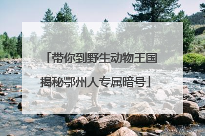 带你到野生动物王国揭秘鄂州人专属暗号