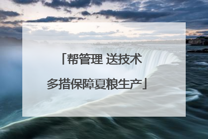 帮管理 送技术 多措保障夏粮生产