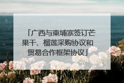 广西与柬埔寨签订芒果干、榴莲采购协议和贸易合作框架协议