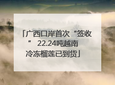 广西口岸首次“签收” 22.24吨越南冷冻榴莲已到货