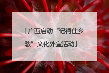 广西启动“记得住乡愁”文化外宣活动