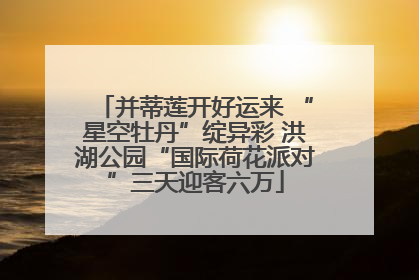 并蒂莲开好运来 “星空牡丹”绽异彩 洪湖公园“国际荷花派对”三天迎客六万
