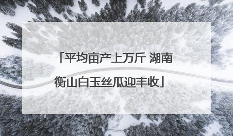 平均亩产上万斤 湖南衡山白玉丝瓜迎丰收