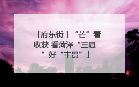 府东街丨“芒”着收获 看菏泽“三夏”好“丰景”