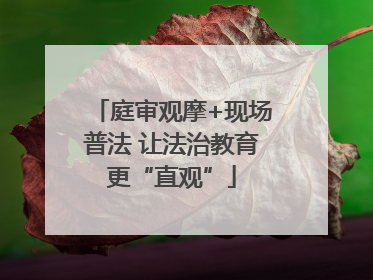 庭审观摩+现场普法 让法治教育更“直观”