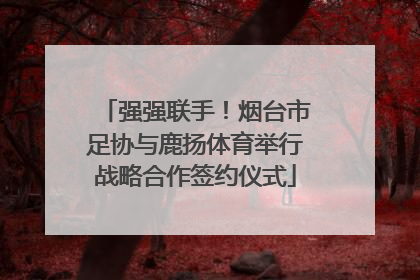 强强联手！烟台市足协与鹿扬体育举行战略合作签约仪式