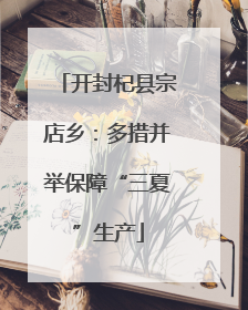 开封杞县宗店乡：多措并举保障“三夏”生产