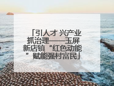 引人才 兴产业 抓治理——玉屏新店镇“红色动能”赋能强村富民