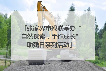 张家界市残联举办“自然探索，手作成长”助残日系列活动
