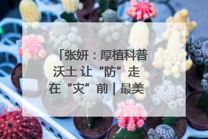 张妍：厚植科普沃土 让“防”走在“灾”前｜最美气象科技工作者
