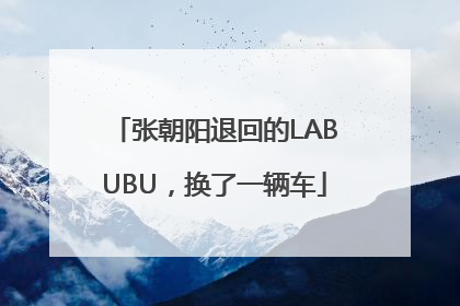 张朝阳退回的LABUBU，换了一辆车